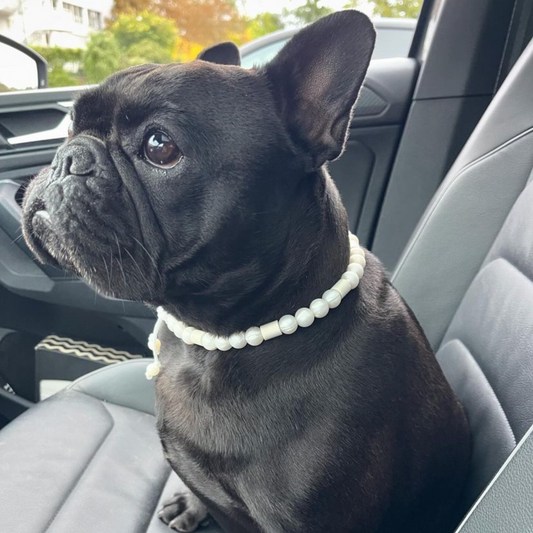 Pearl Repellent Necklace