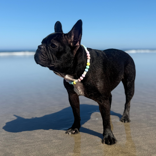 Colar Repelente Harmonia