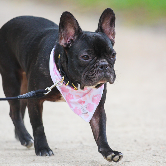 Bandana de Verão Rosa