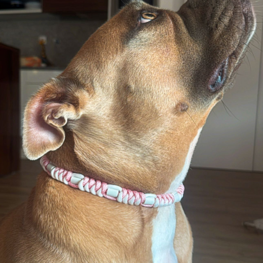 Colar Repelente Paracord Rosa e Branco