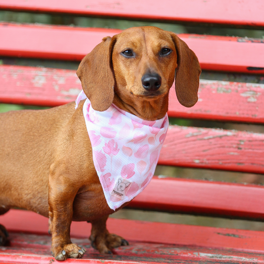 Bandana de Verão Rosa
