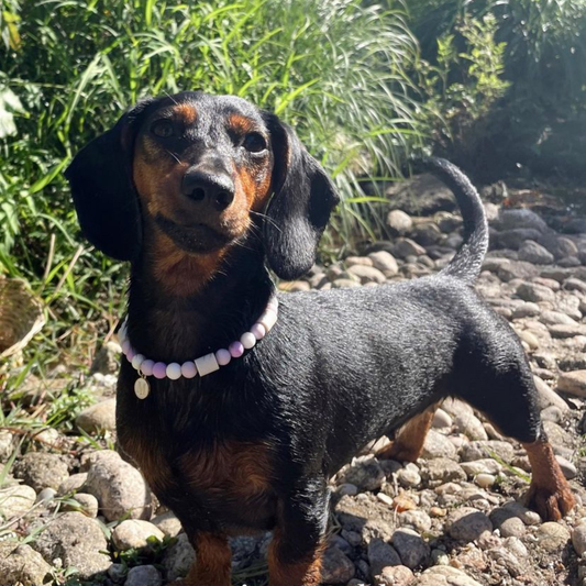 Serenity Repellent Necklace