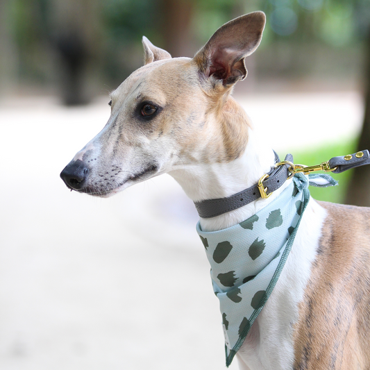 Bandana de Verão Verde