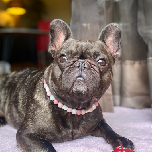 Tenderness Repellent Necklace