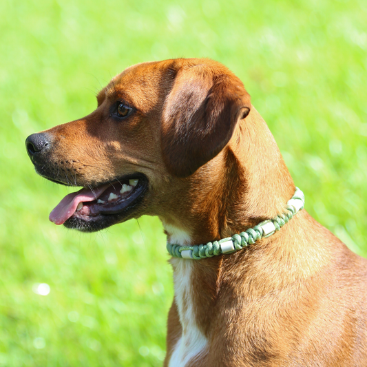 Colar Repelente Paracord Glitter Verde