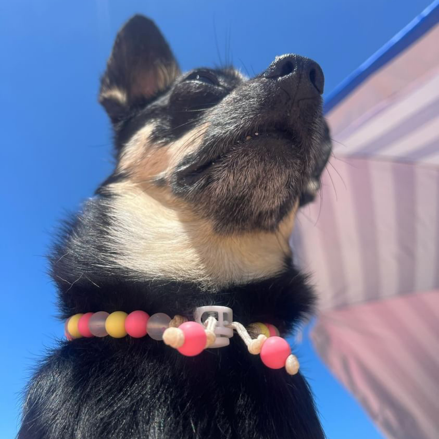 Joy Necklace