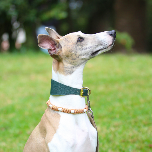 Colar Repelente Paracord Glitter Coral