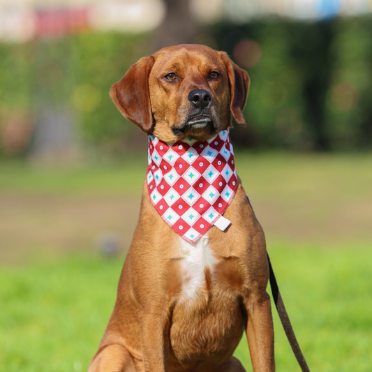 Bandana Vermelha