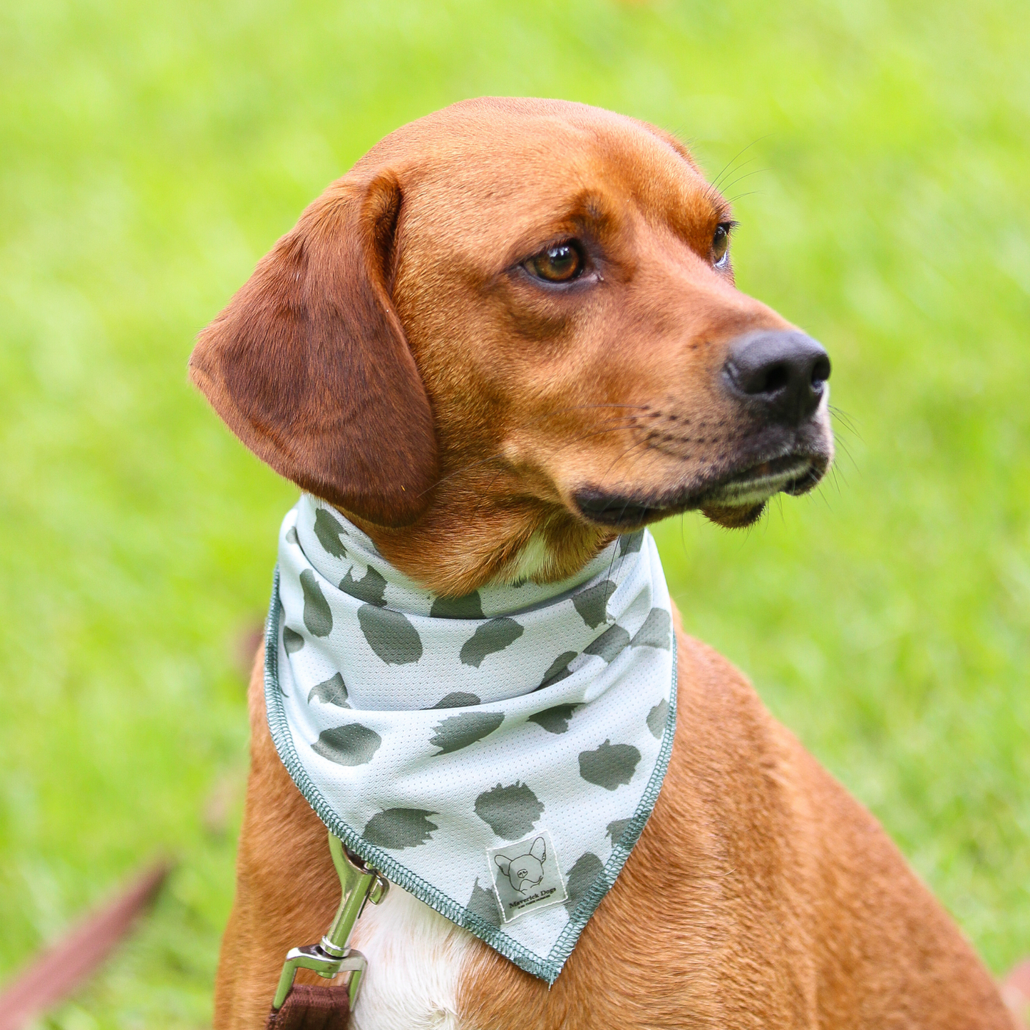 Bandana Verde