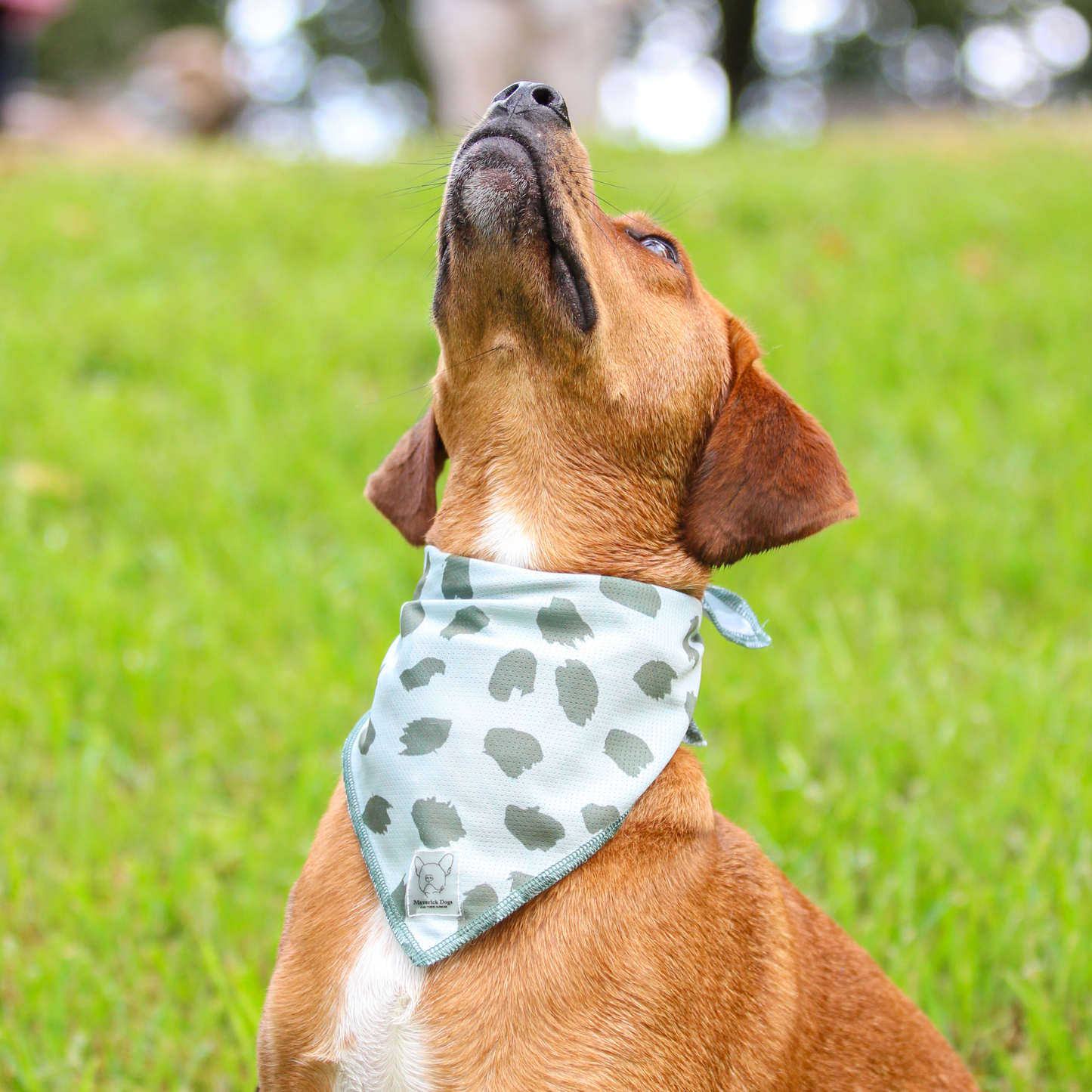 Bandana Verde