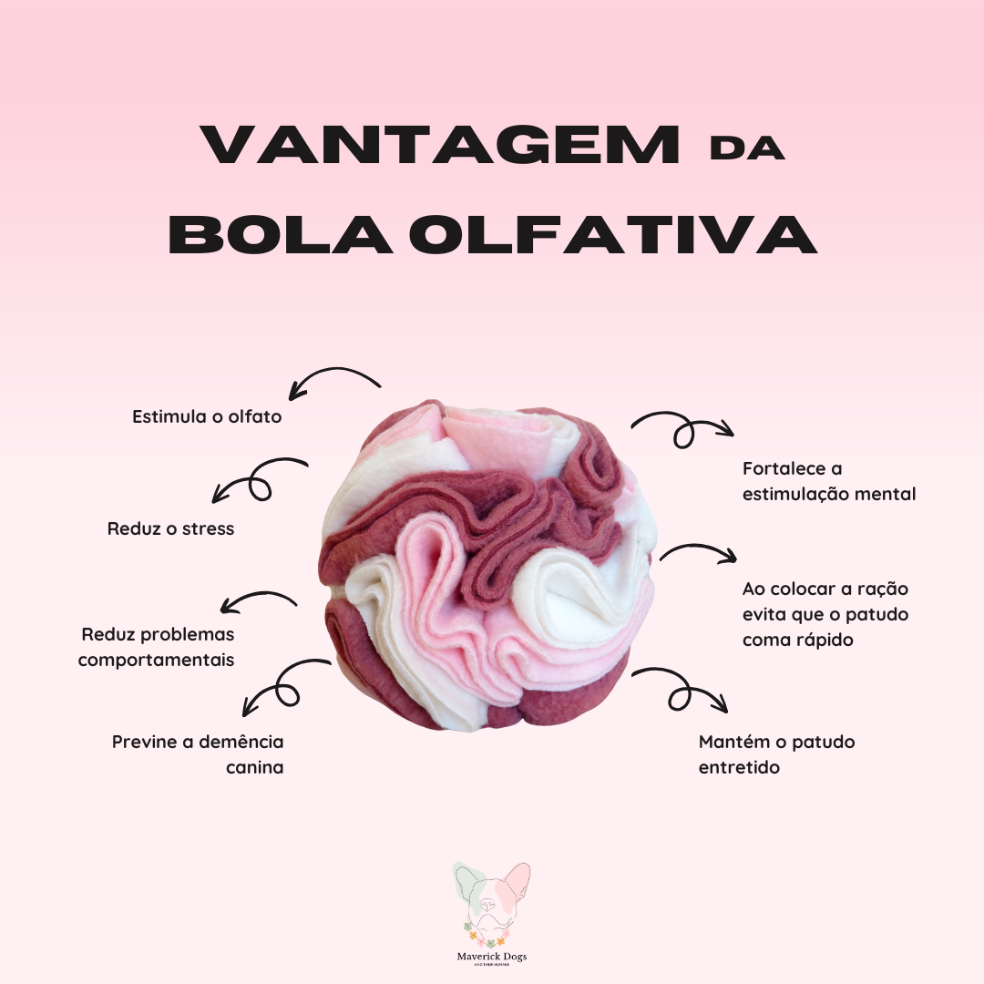 Bola Bordô e Azul