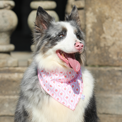 Bandana Rosa