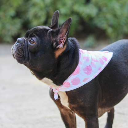Bandana Rosa