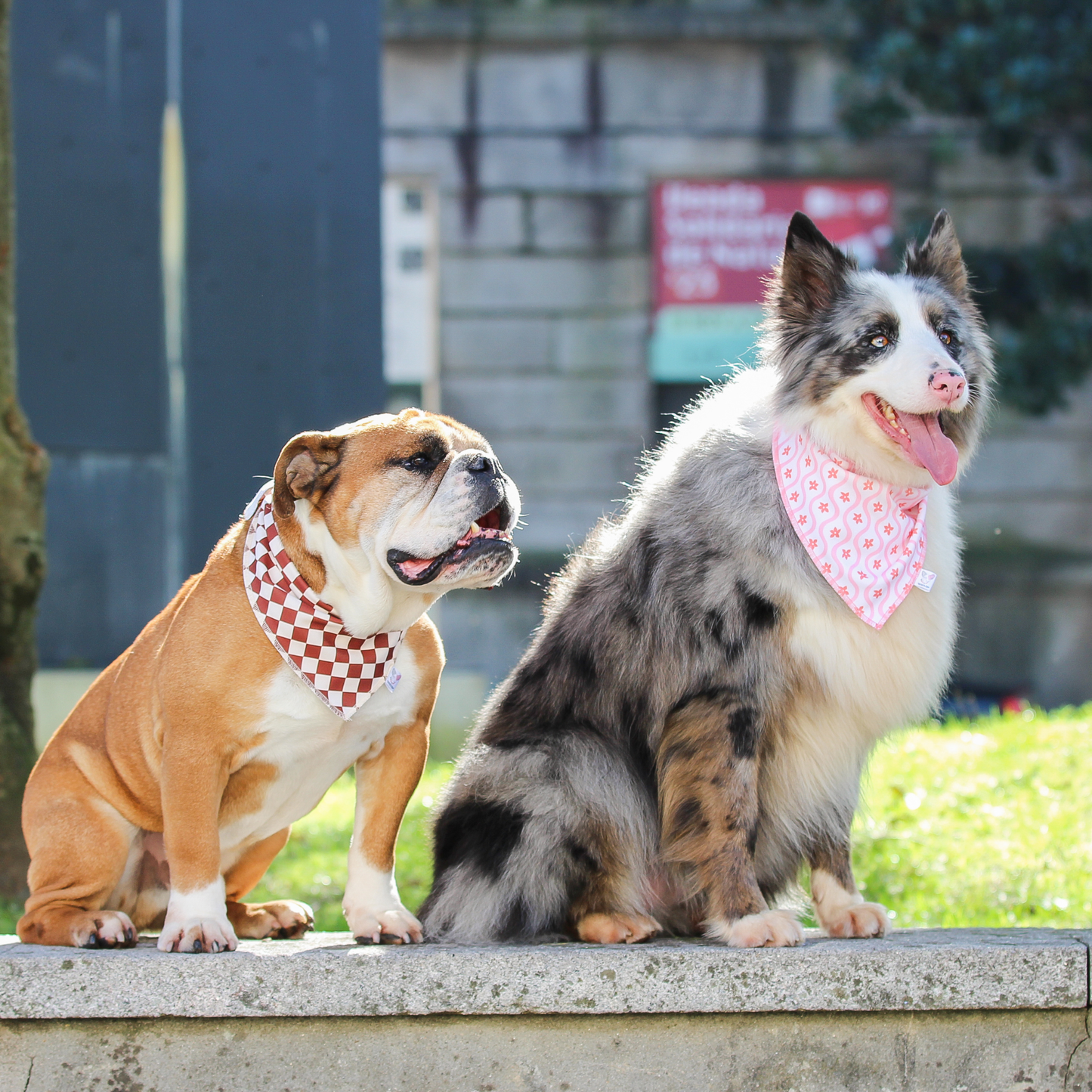 Bandana marrón