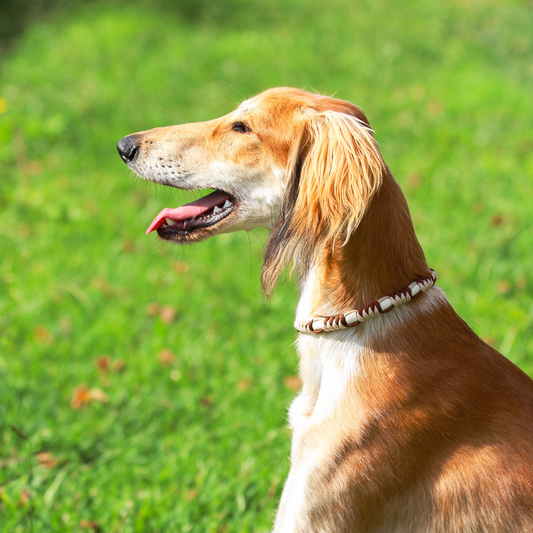 Colar Repelente Paracord Castanho