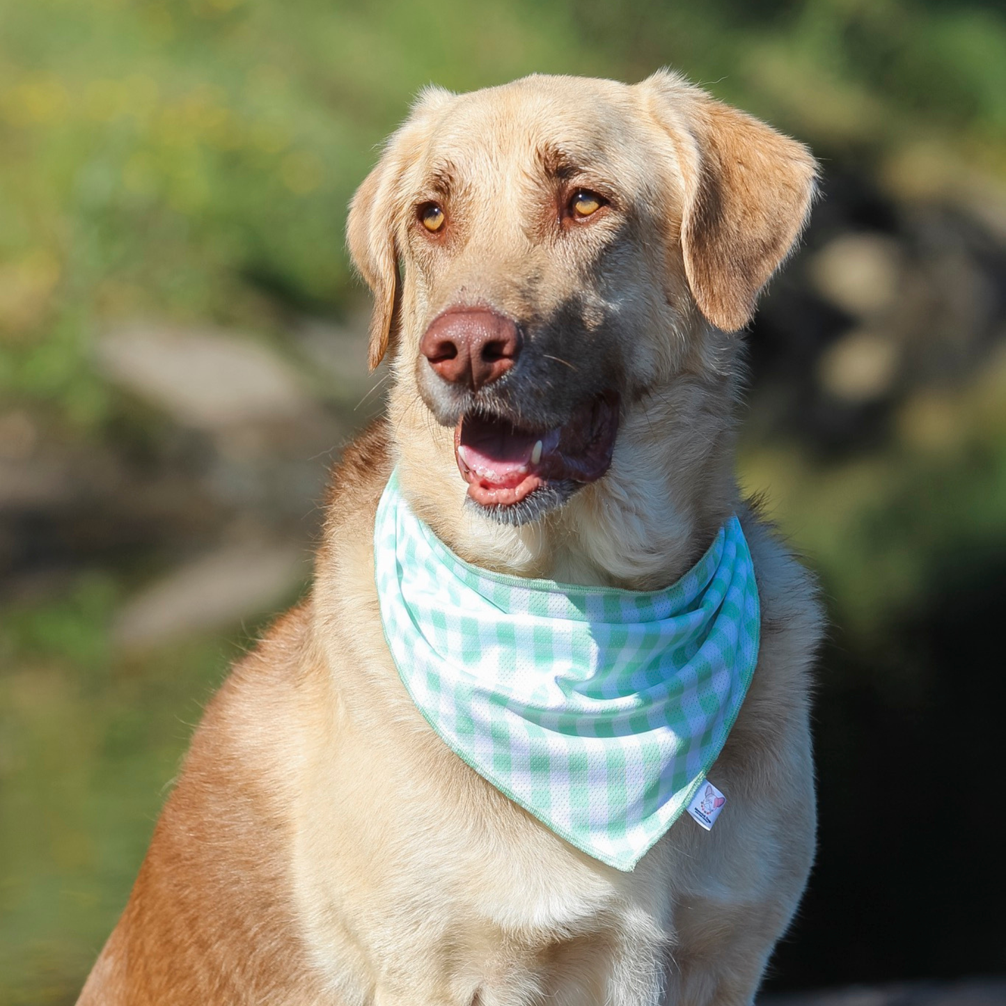 Bandana de Verão Verde