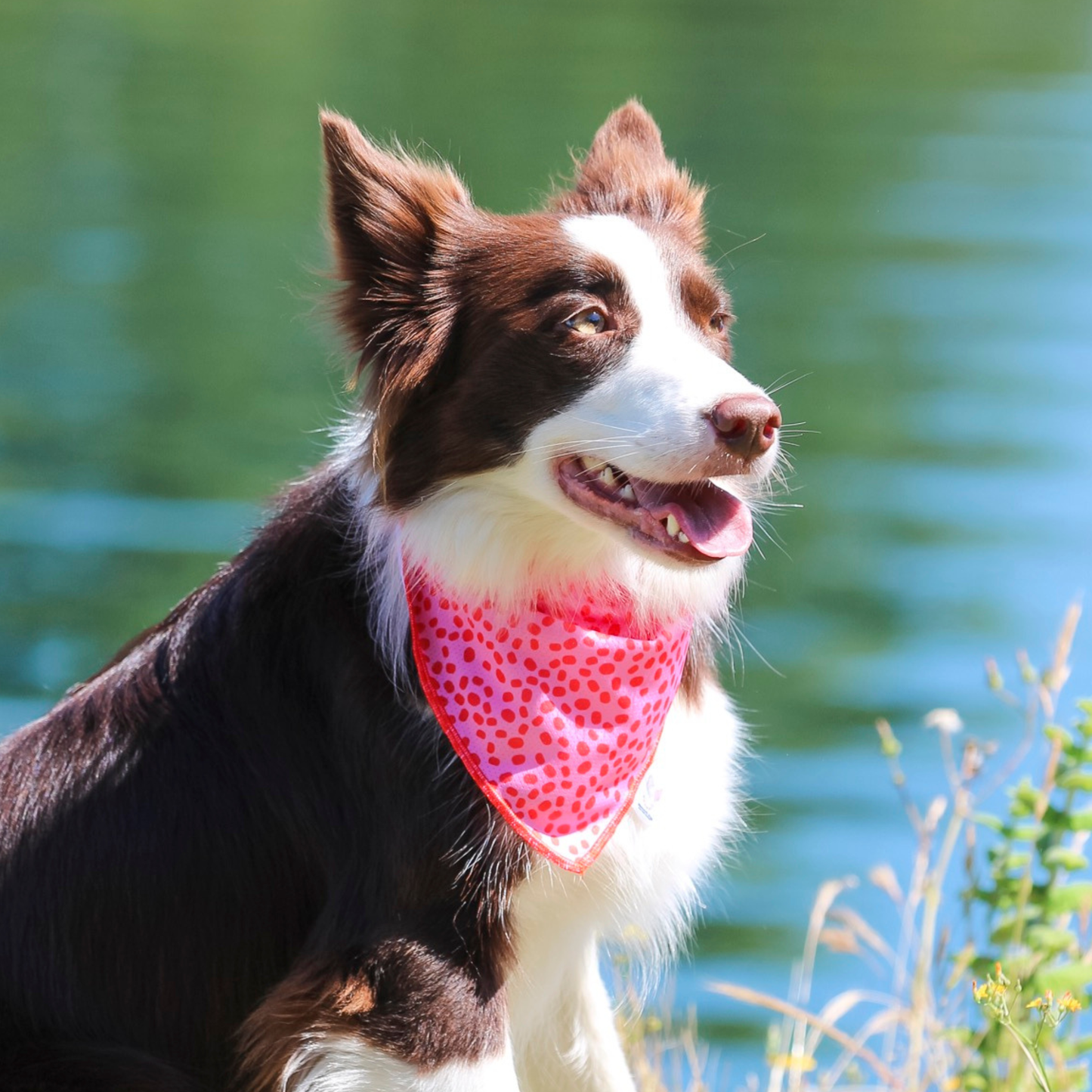 Bandana de Verão Rosa e Vermelha