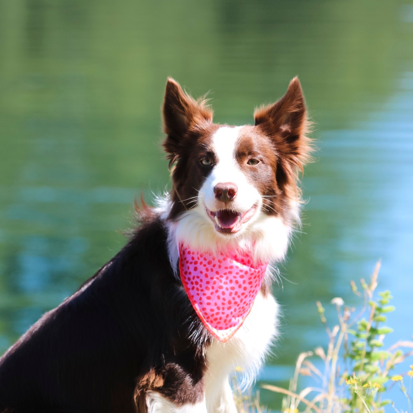 Bandana de Verão Rosa e Vermelha
