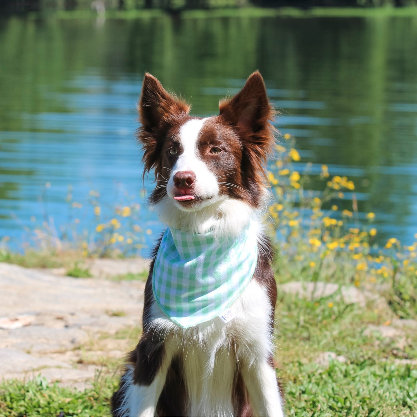 Bandana de Verão Verde