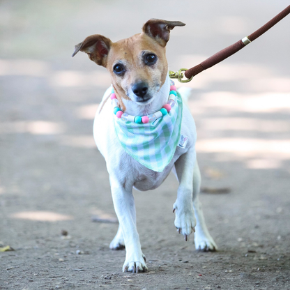 Bandana de Verão Verde