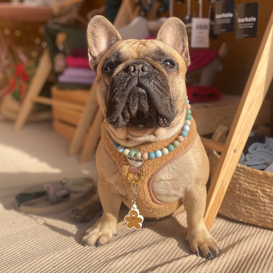Collar de la paz