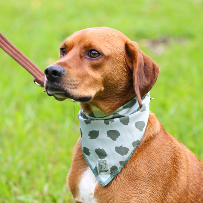 Bandana Verde