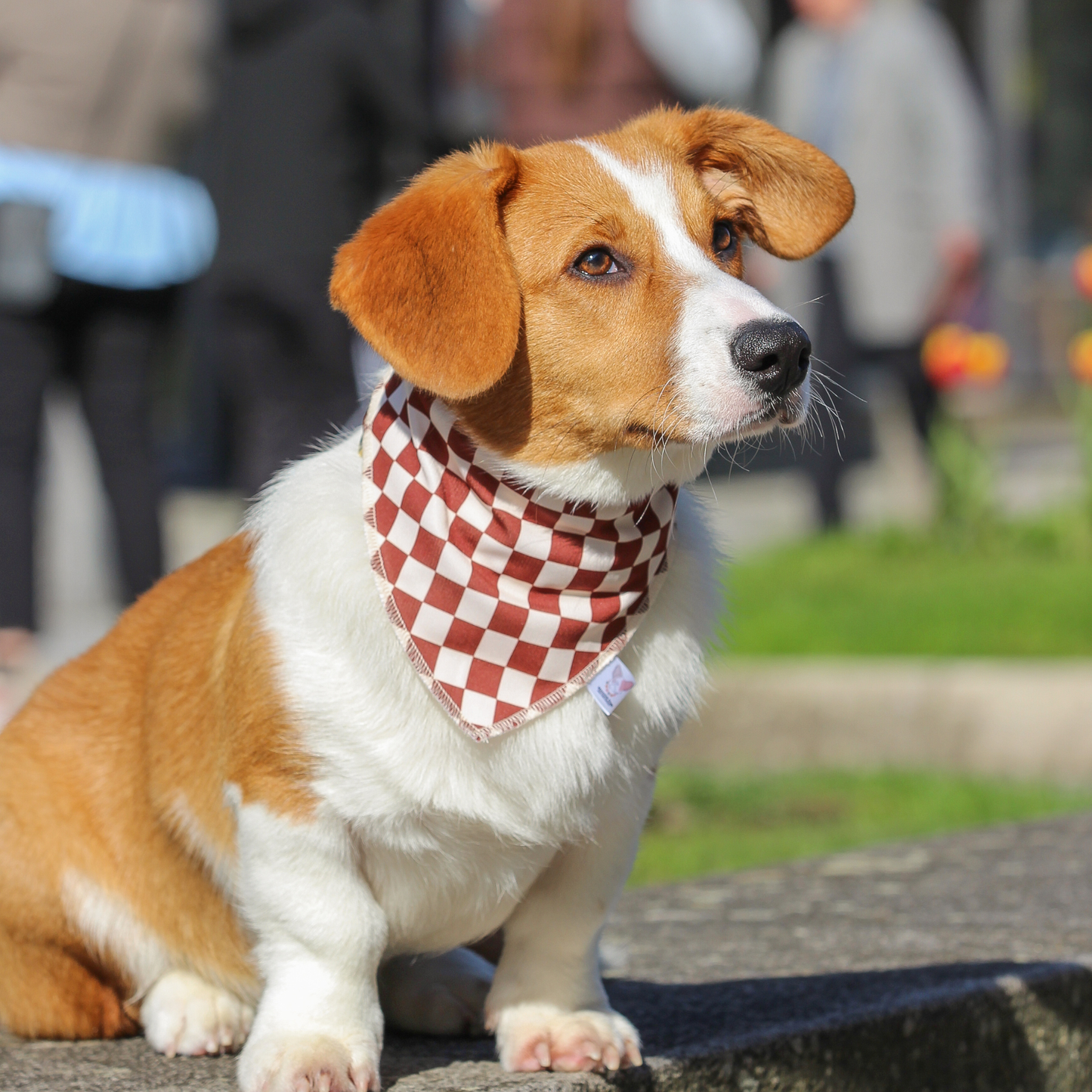 Bandana marrón