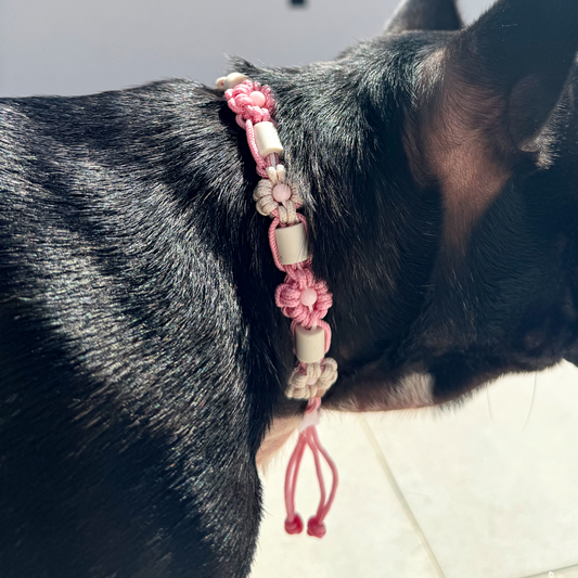 Colar Flores Repelente Personalizável em Paracord