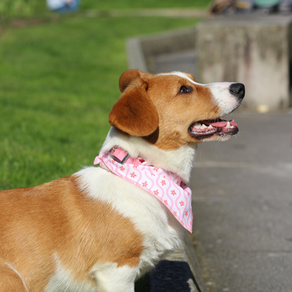 Bandana Rosa